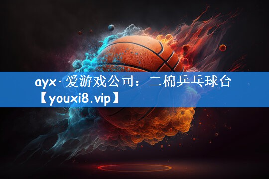 ayx·爱游戏公司：二棉乒乓球台