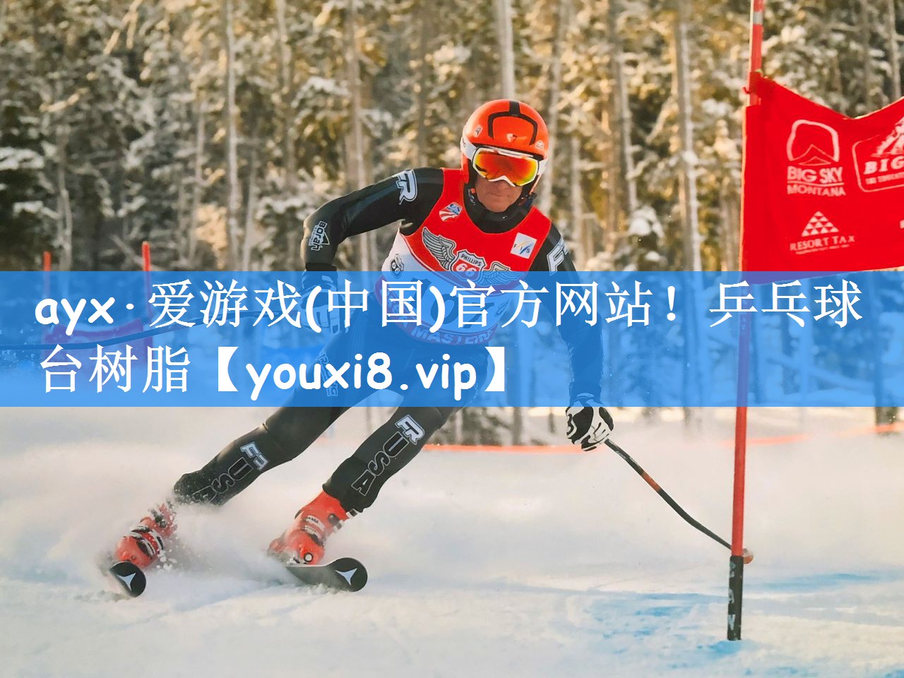 ayx·爱游戏(中国)官方网站！乒乓球台树脂