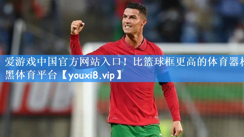 爱游戏中国官方网站入口!比篮球框更高的体育器材黑体育平台