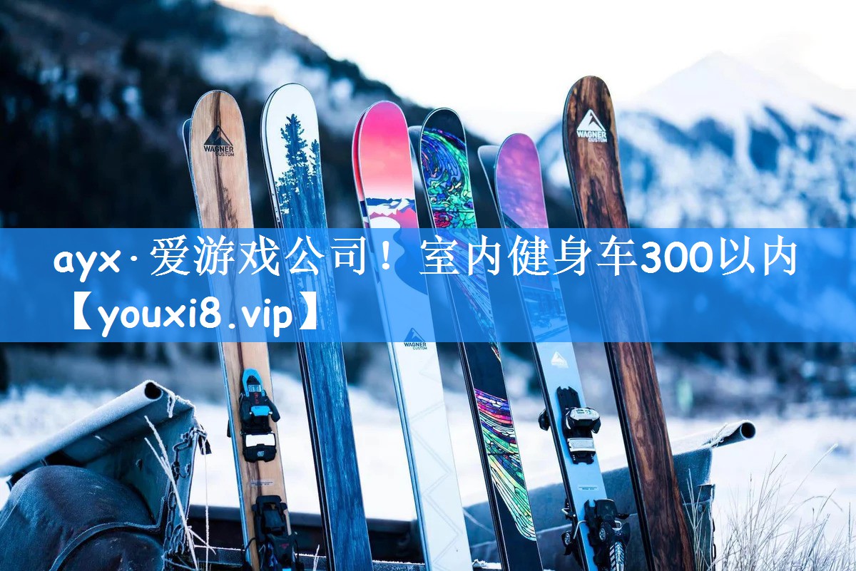<strong>ayx·爱游戏公司！室内健身车300以内</strong>