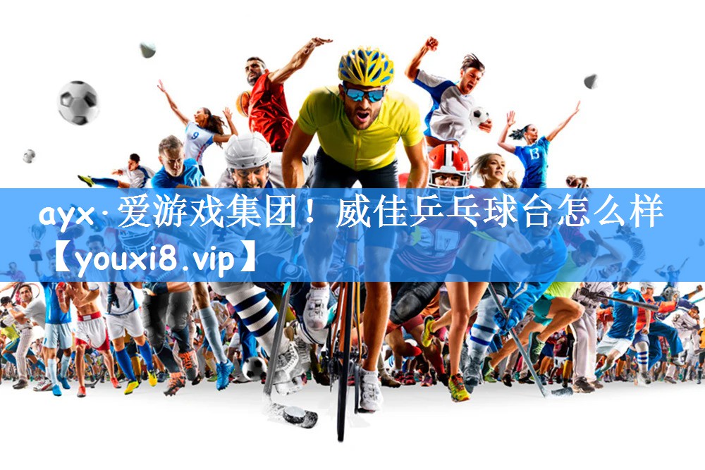 威佳乒乓球台怎么样