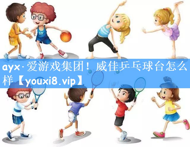 威佳乒乓球台怎么样